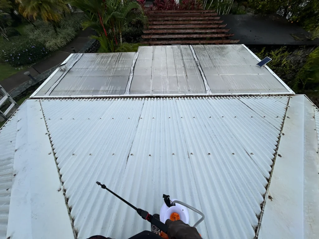 Traitement anti-mousse toiture après — R'Nov Clean Toiture — Martinique